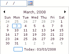 Calendar & Date/Time Picker for ASP.NET