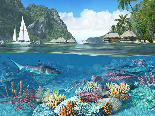 Caribbean Islands 3D Screensaver and Animated Wallpaper