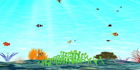 Clownfish Aquarium Screensaver