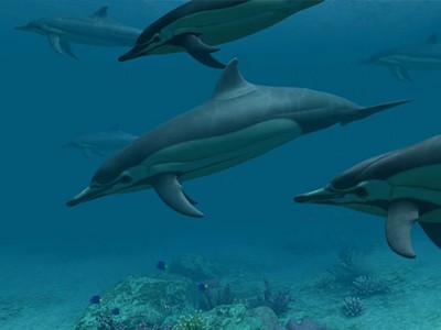 Dolphins 3D Screensaver and Animated Wallpaper