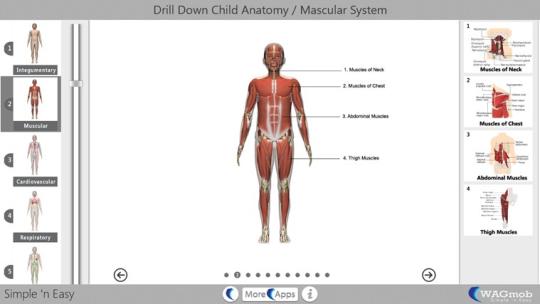 Drill Down Child Anatomy by WAGmob