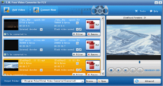 E.M. Free Video Converter for FLV