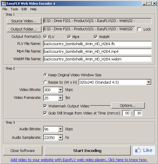 EasyFLV Web Video Encoder