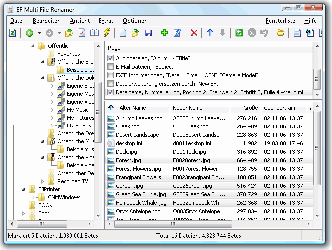 EF Multi File Renamer