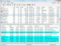 EF Process Manager Portable (64-bit)