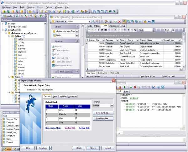 EMS MySQL Manager for Windows
