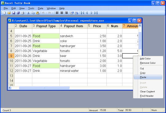 Excel Tally Book