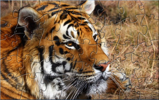 Extreme Tiger Puzzle