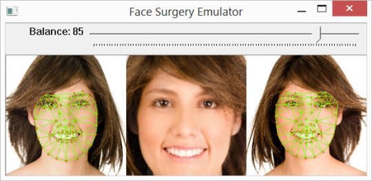 Face Surgery Emulator