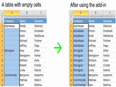 Fill Blank Cells for Microsoft Excel