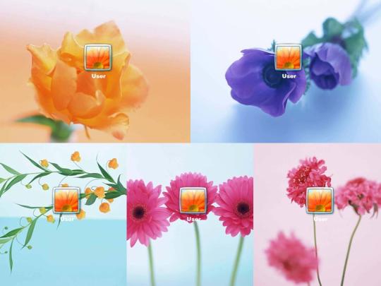 Flowers Logon Screen