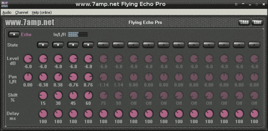Flying Echo Pro