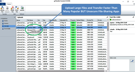 goTransfer Managed File Transfer (MFT) Professional Server