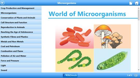 Grade 8 Science by Wagmob for Windows 8