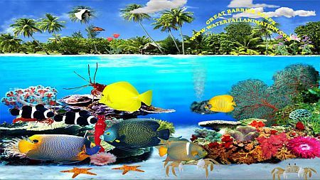Great Barrier Reefs
