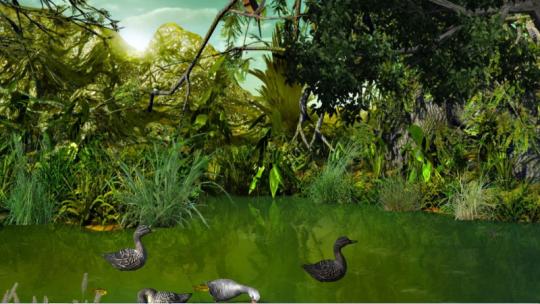 Great Pond 3D