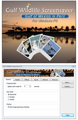 Gulf Wildlife Screensaver