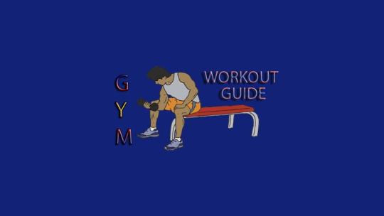 Gym Workout Guide for Windows 8