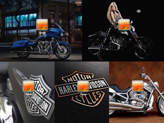 Harley-Davidson Logon Screen