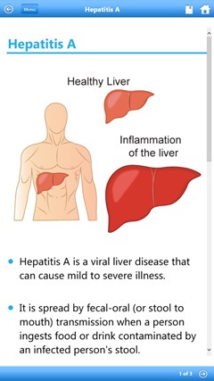 Hepatitis 101 by WAGmob for Windows 8