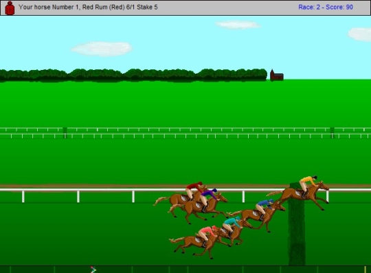 Horse Racing - Steeplechase