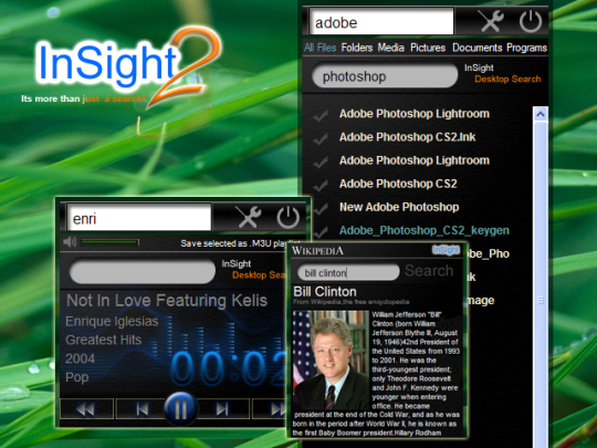 InSight Desktop Search