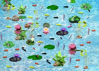Interactive Fish Pond Game