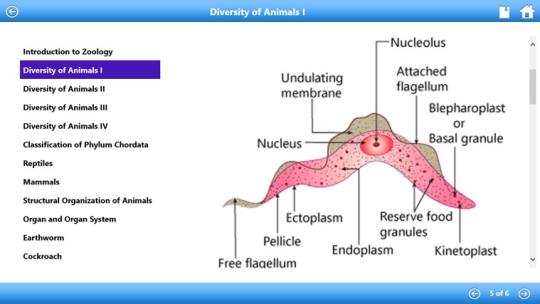 Learn Zoology by WAGmob for Windows 8