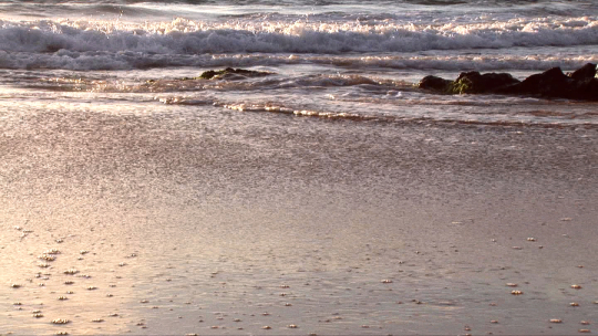 Makena Beach HD Screensaver