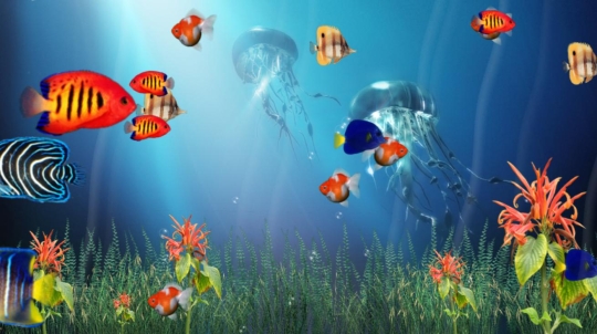 Marine Life Aquarium 3D Screensaver