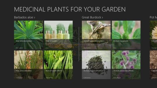 Medicinal Plants for your garden for Windows 8