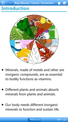 Minerals 101 by WAGmob