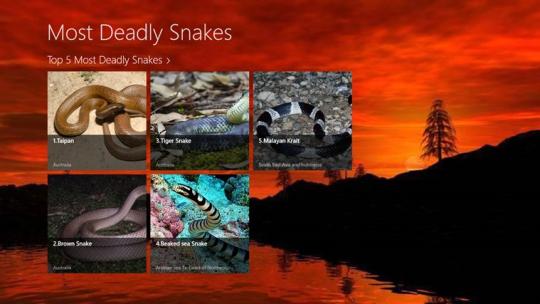 Most Deadly Snakes
