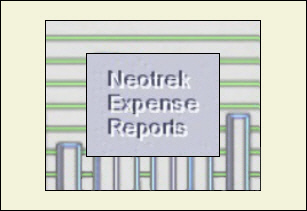 Neotrek Expense Reports