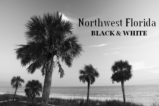 Northwest Florida's Gulf Coast Black & White Screen Saver