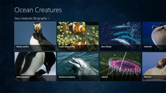Ocean Creatures for Windows 8