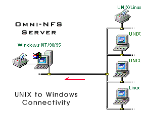 Omni-NFS Server