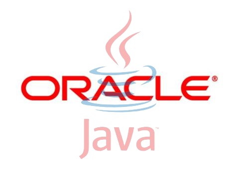 Oracle Java Standard Edition Runtime Environment