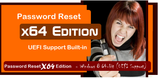 Password Reset X64 Edition