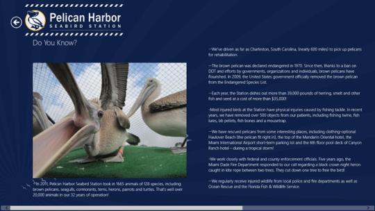 Pelican Harbor for Windows 8