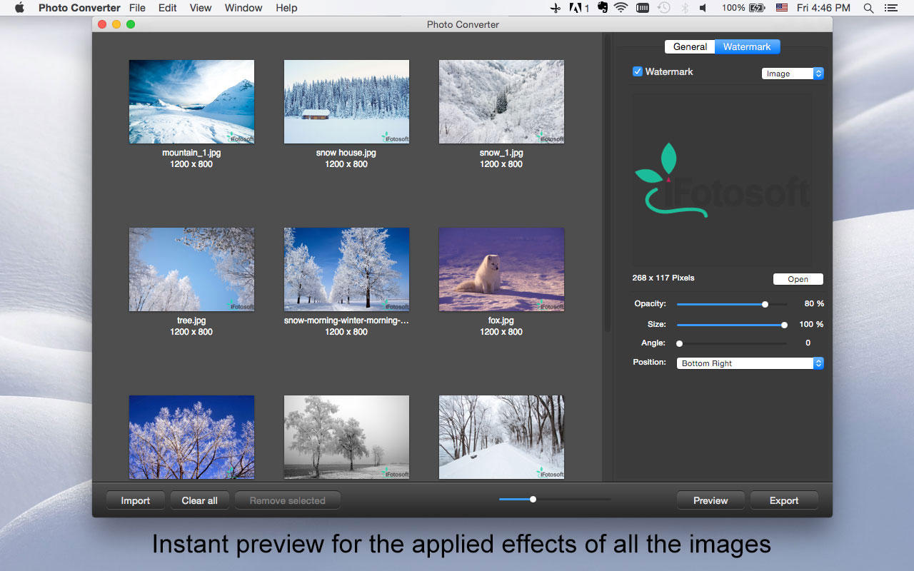 Applied effects. Графический редактор на маке встроенный. Fotoview. • Фотоконвертор liteлоготип.