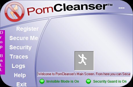 PornCleanser 2010