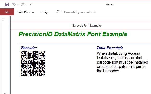 PrecisionID.com Data Matrix Font Package
