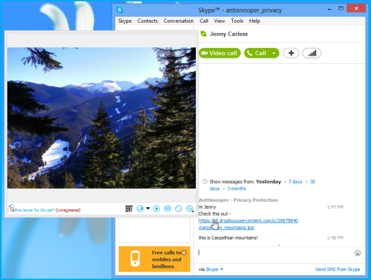 Previewer for Skype