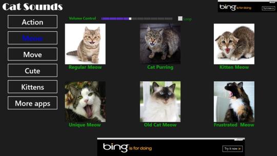 Real Cat Sounds for Windows 8