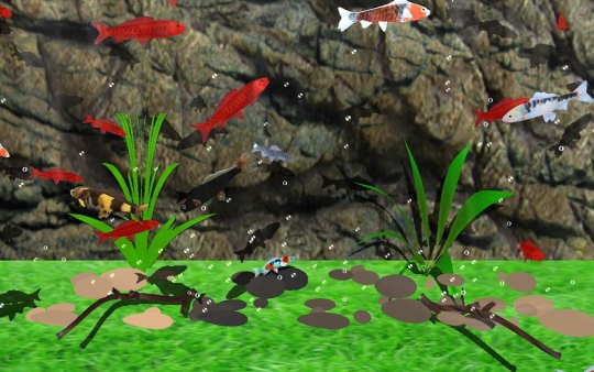 Realistic Koi Fish Screensaver