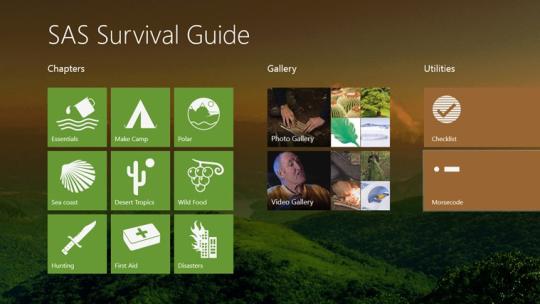 SAS Survival Guide for Windows 8