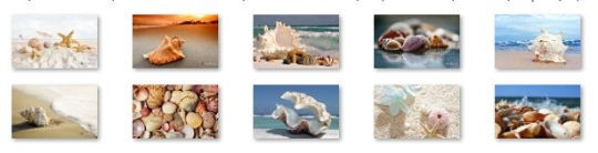Sea Shells Windows 7 Theme