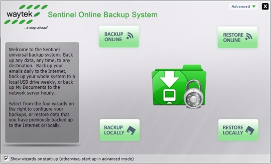 Sentinel Online Backup System