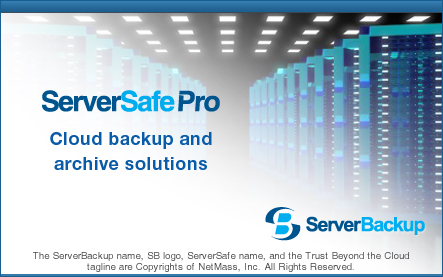 ServerSafe Pro